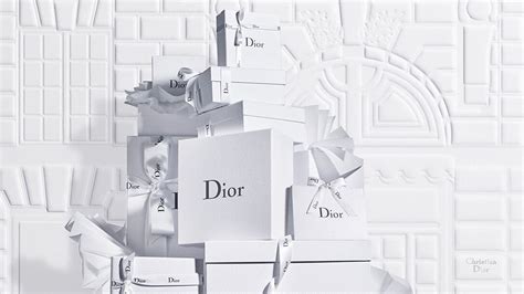 dior francr|dior france official website.